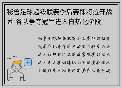 秘鲁足球超级联赛季后赛即将拉开战幕 各队争夺冠军进入白热化阶段